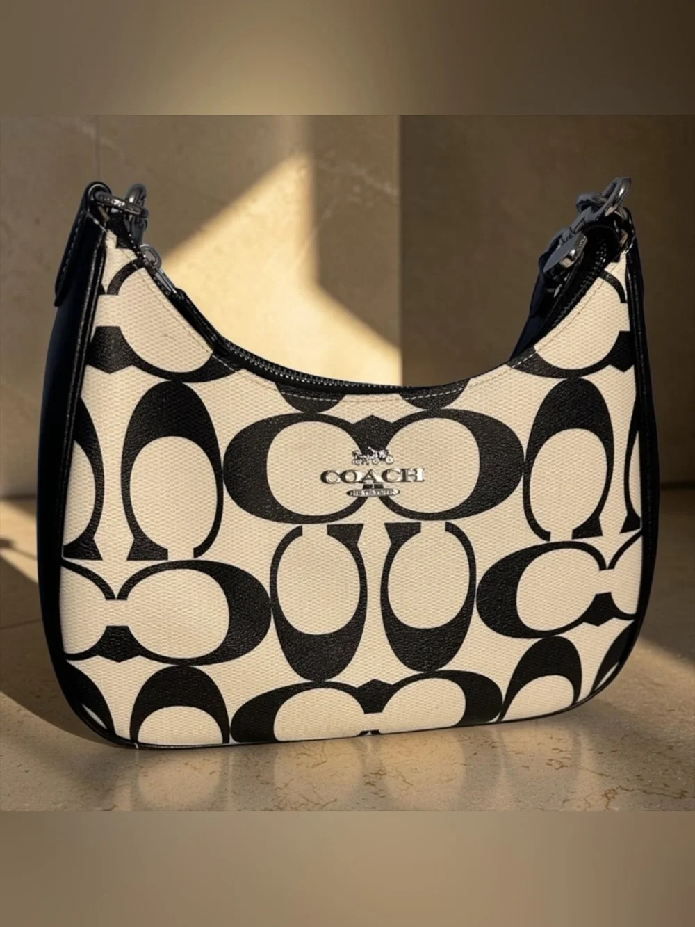 Coach Signature Canvas Hobo Bag in Black & White